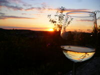 Wein bei Sonnenuntergang